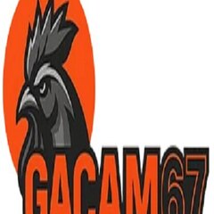 Gacam67 ringger's profile picture