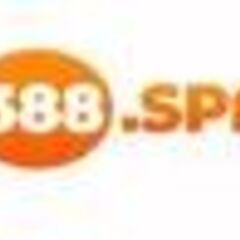 tx 388's profile picture