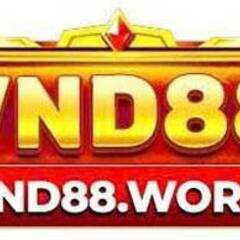 VND88 work's profile picture
