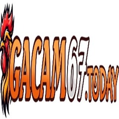 Gacam67 today's profile picture