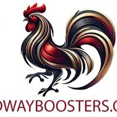 ĐÁ GÀ THOMO MID's profile picture