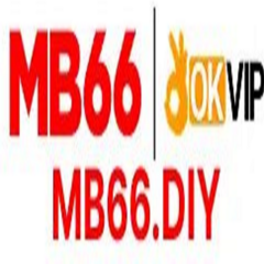 mb66 diy's profile picture