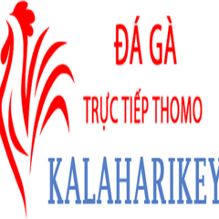 daga kala's profile picture