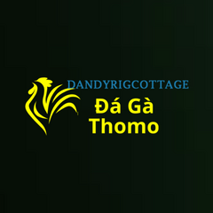 Đá Gà Trực Tiếp Thomo's profile picture