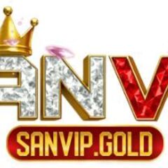 SanVip .'s profile picture