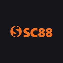 SC88 VN's profile picture