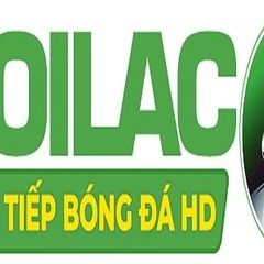 timpatcoogan  com lua dao's profile picture