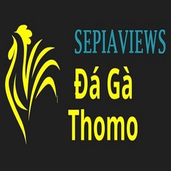 Đá Gà Trực Tiếp Thomo's profile picture