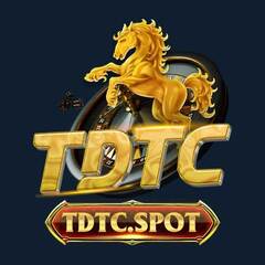 TDTC Thiên Đường Trò Chơi's profile picture
