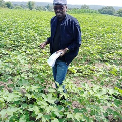 Patrick   WAGA MANA's profile picture