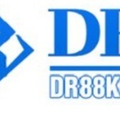 DR DR88's profile picture
