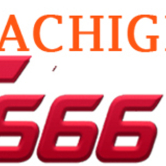 ST666 sona's profile picture