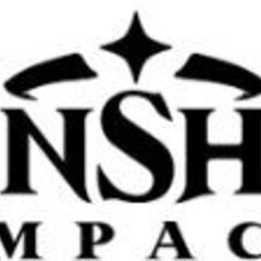 Genshin Guide's profile picture