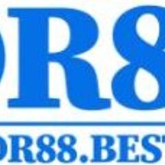 DR 88's profile picture