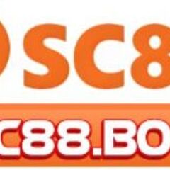 SC88 boo's profile picture