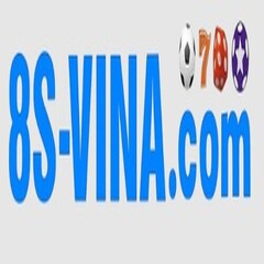 8S VINA's profile picture