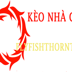 keonhacai flyfish's profile picture