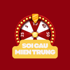 Soi Cầu Miền Trung's profile picture