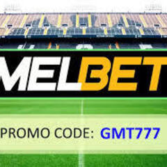 codepomo purmelbet's profile picture