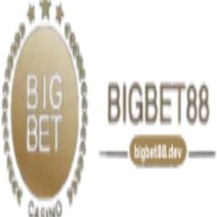 Bigbet88 dev's profile picture