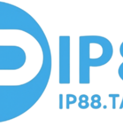 IP88 TATTOO's profile picture