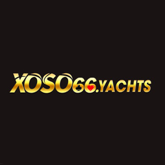 Xoso66 investments's profile picture