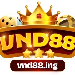VND88 ing's profile picture