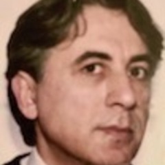 Fizouli Faradjev's profile picture