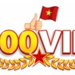 100VIP in net's profile picture