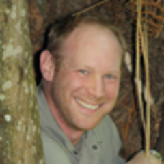 Nathaniel Dominy's profile picture