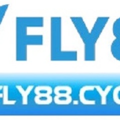 FLY88 cyou's profile picture