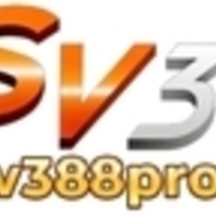 SV388 net's profile picture