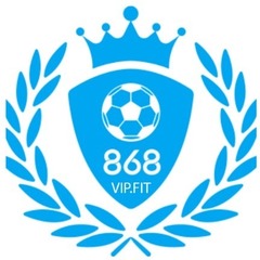 868VIP fit's profile picture
