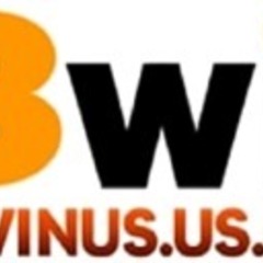 13Winus us com's profile picture