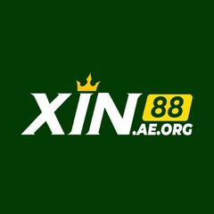 xin88 aeorg's profile picture