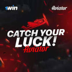 aviatorg ameapk's profile picture