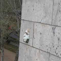 Catherine Leglu's profile picture