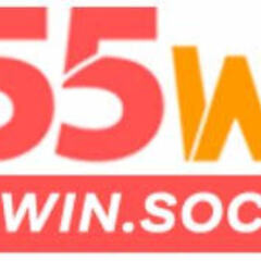 555Win  Social's profile picture