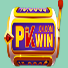 Pkwin  cn com's profile picture