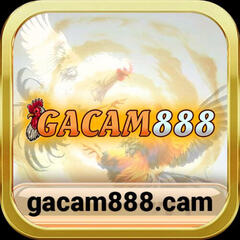 gacam888 cam's profile picture