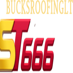 ST666 bucks's profile picture