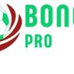 bongda lu's profile picture