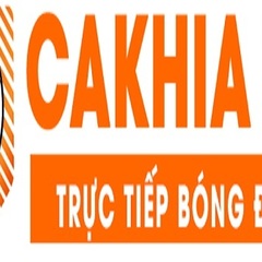 Cà     khịa's profile picture