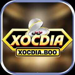 Xocdia boo's profile picture