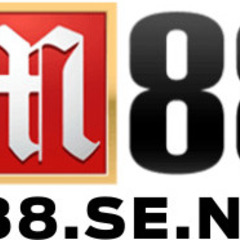 M88 SE's profile picture