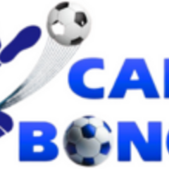 cadobongda theforresta's profile picture