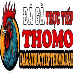 dagatructiepthomo day's profile picture