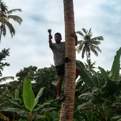 Teena Brown Pulu's profile picture