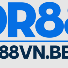 DR 88's profile picture