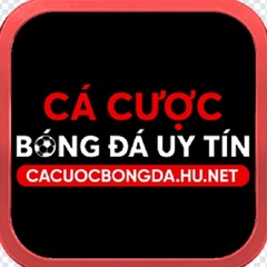 Cá cược bóng  đá's profile picture